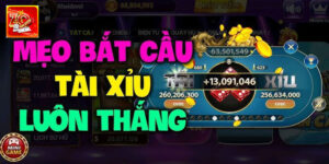 Mẹo Chơi Tài Xỉu – Cao Thủ Zowin Chia Sẻ Từ Kinh Nghiệm